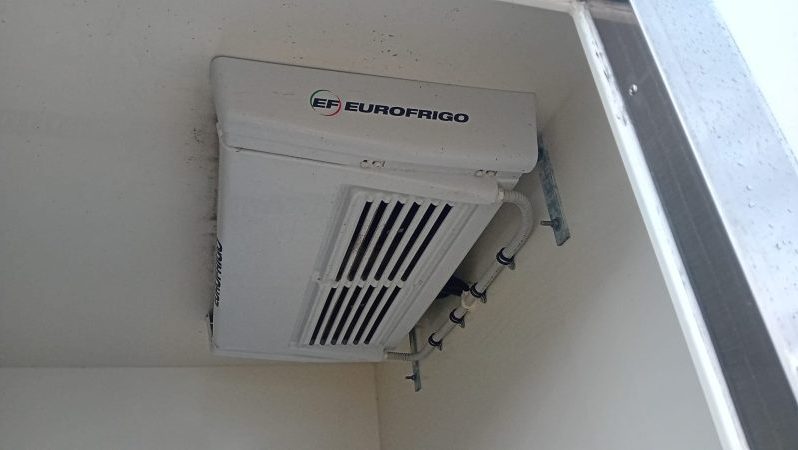 RENAULT MASTER FRIGORIFICO FRA lleno